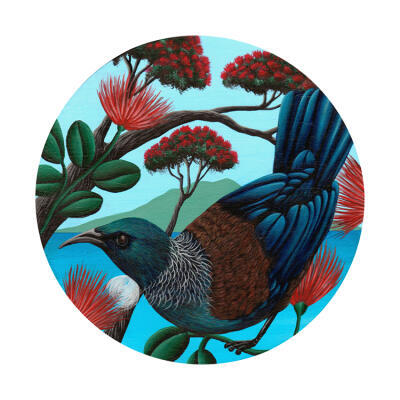 Tui Round Pohutukawa