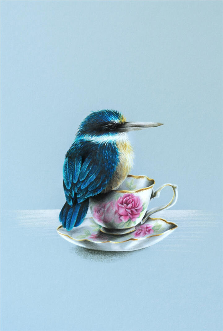 Kingfisher on a Teacup