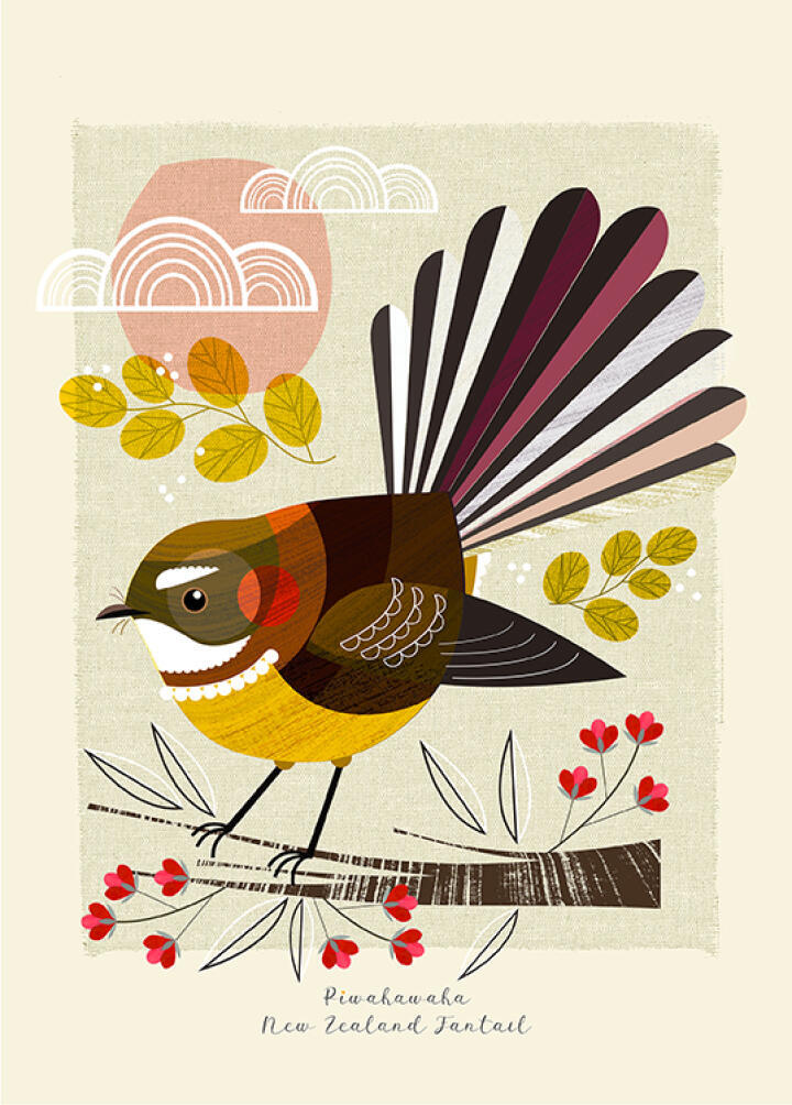 Piwakawaka, Small Birds Of NZ