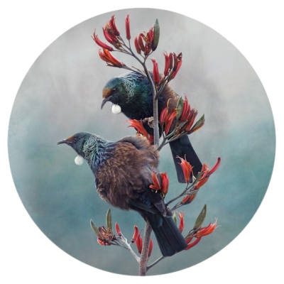 Tui Duet
