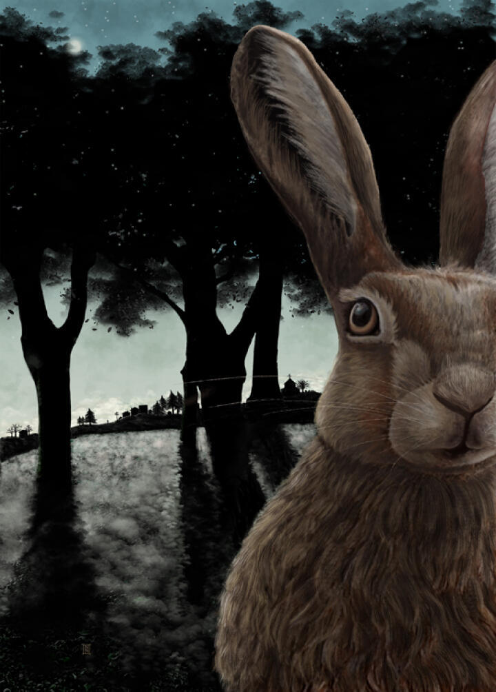 Winter Solstice Hare