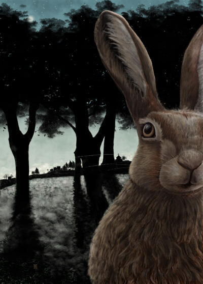 Winter Solstice Hare