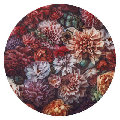 Dahlias & Artichoke