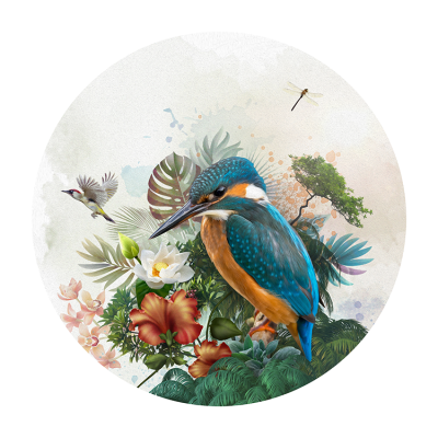 Life Force Kingfisher