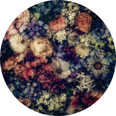 Dark Roses & Hydrangea