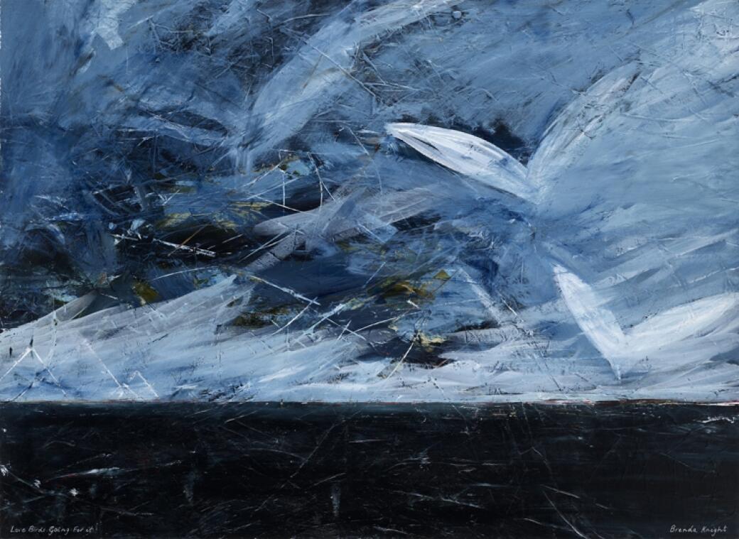 Love Birds Going For It