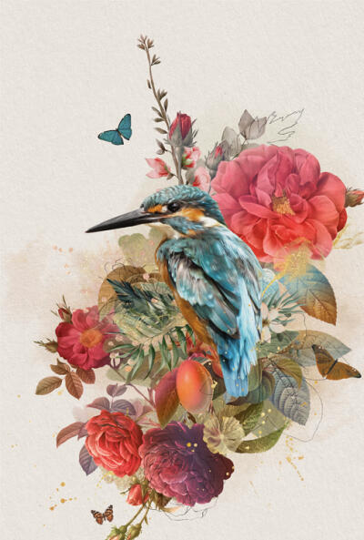 Custodian Kingfisher