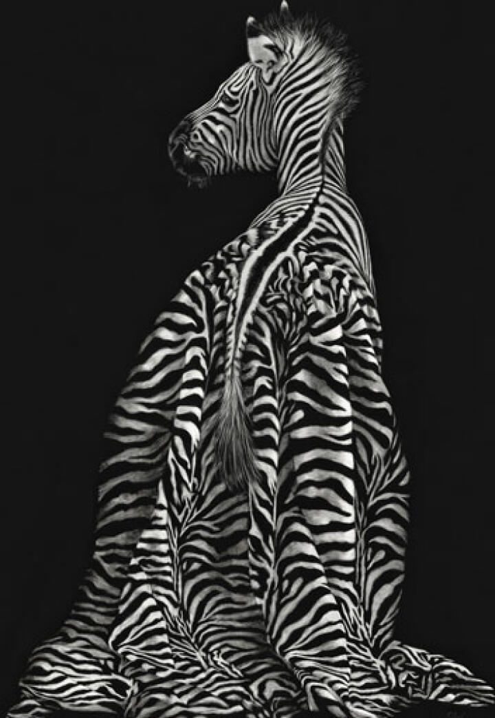 Do My Stripes Look Big In This?