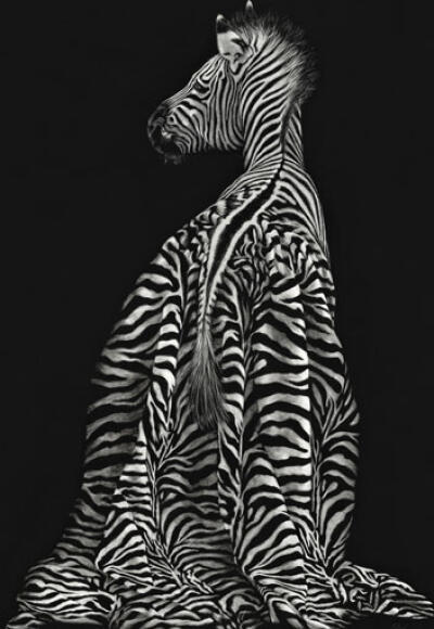 Do My Stripes Look Big In This?