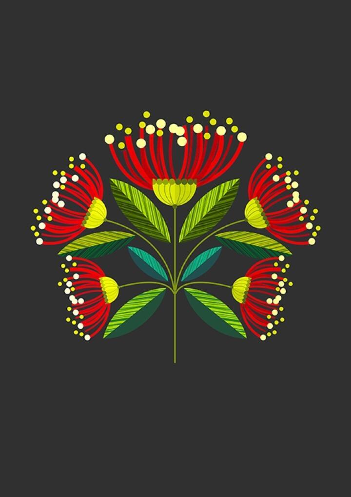 Native NZ Pohutukawa