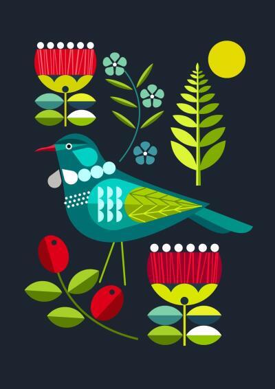 New Zealand Folk Tui