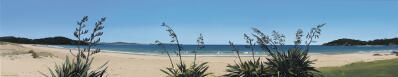 Endless Summer, Tutukaka Coast