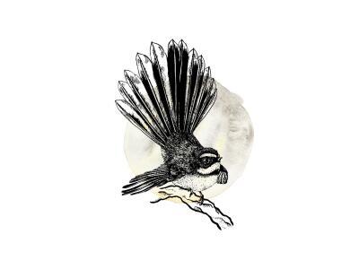Fantail - Ink Series