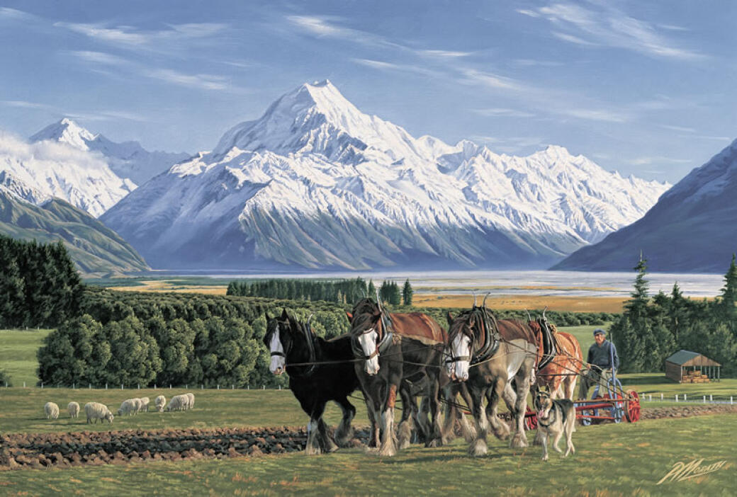 Glentanner Station, Clydesdales