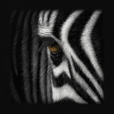 Here's Looking At You II