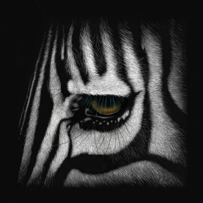 Here's Looking At You