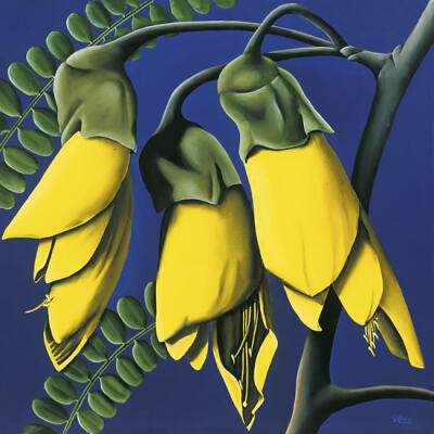 Kowhai