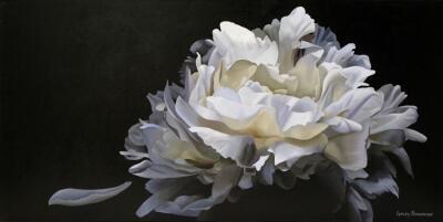Pavlova Peony