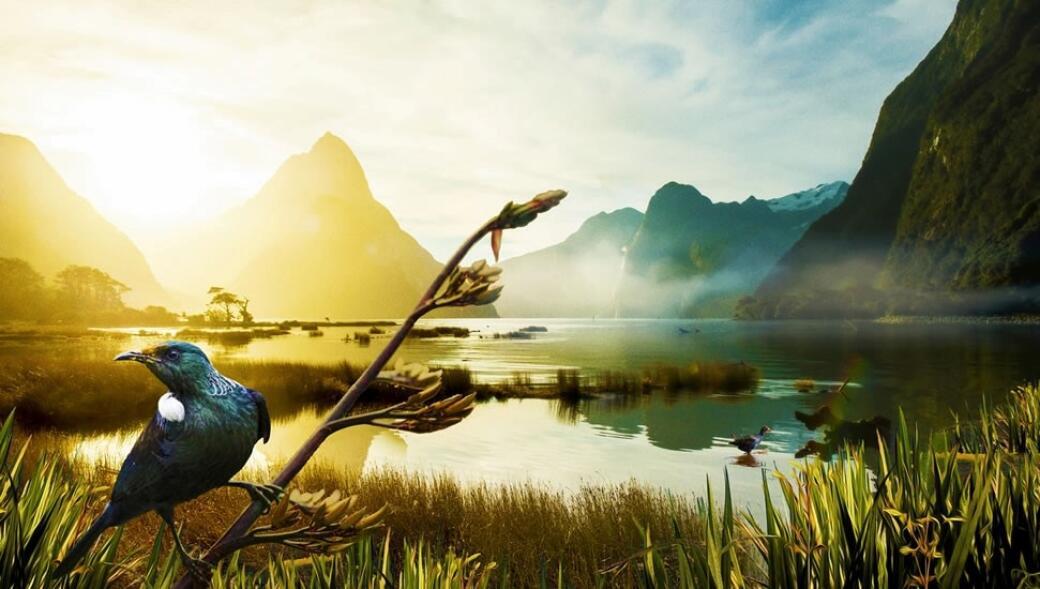 Milford Sound Twilight