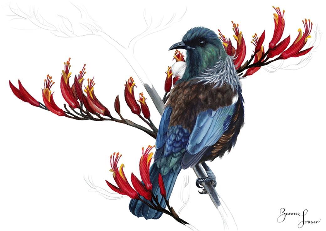 New Zealand Tui & Flax