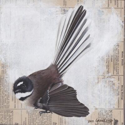 NZ's Daily Southern Cross