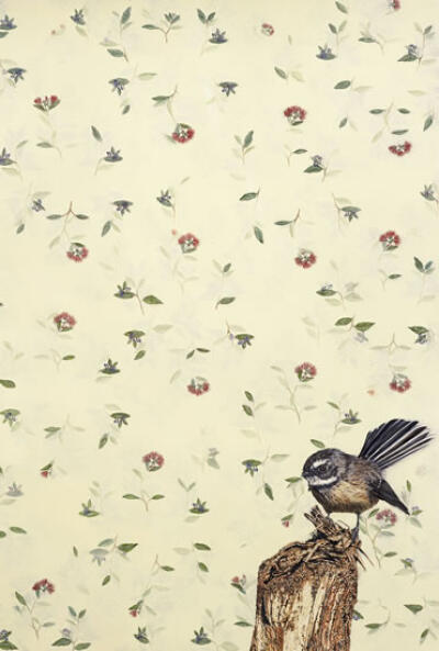 Our Native Fantail, Series 2
