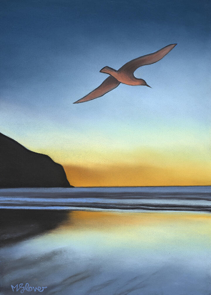 Swoop - Kawatea Okains