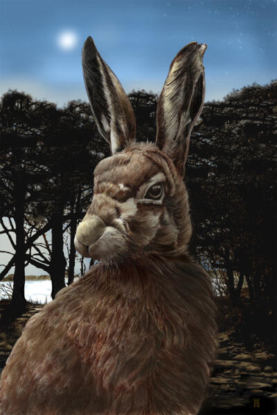 Moon River Hare