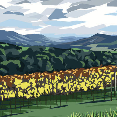 TarraWarra Vineyard, Victoria, Australia (IM)