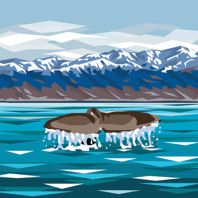 Whale Fluke, Kaikoura (IM)