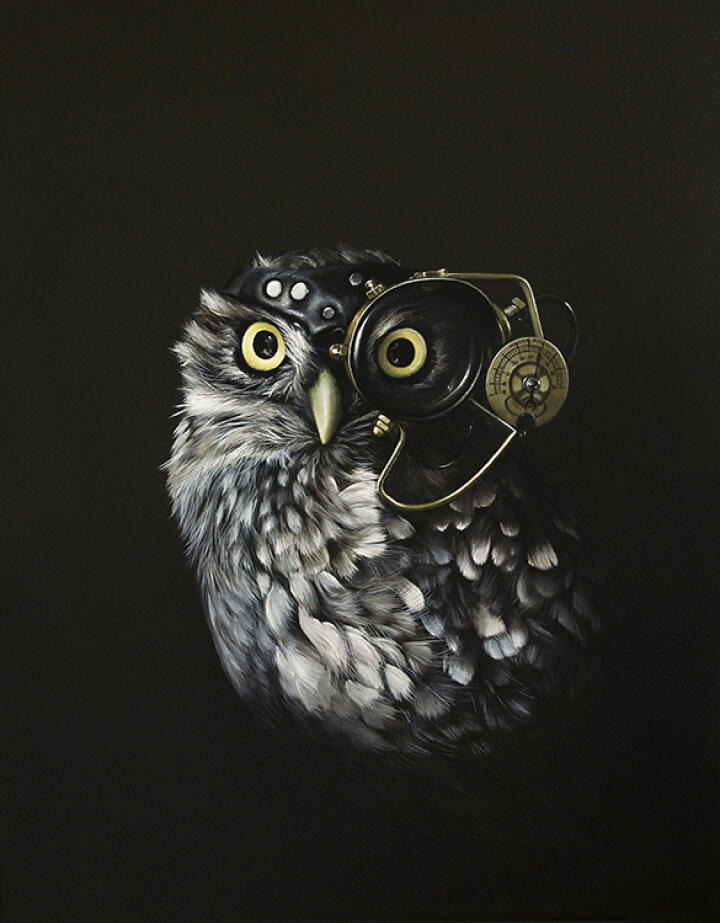 Captain Hooter's Mate