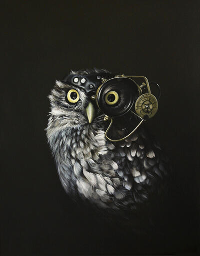 Captain Hooter's Mate