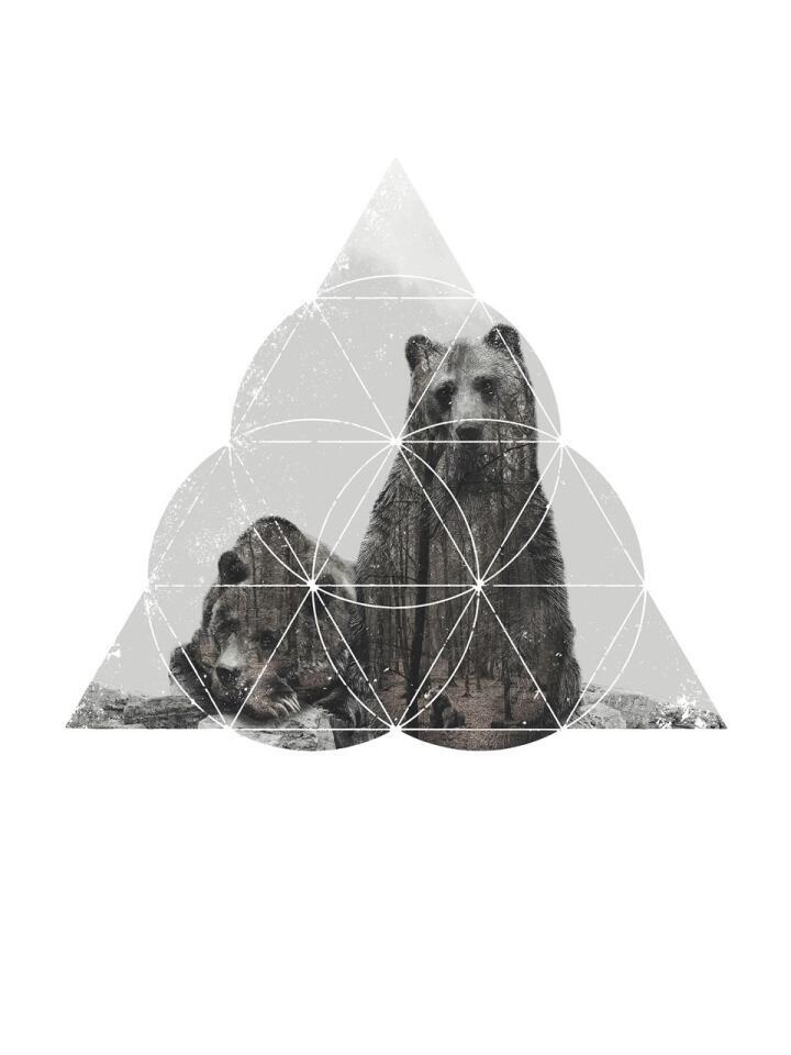 Three Bears