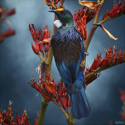Tui Tea Time