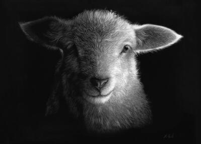 Two Shakes Of A Lamb's Tail