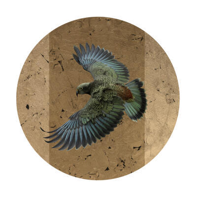 Kea Circling