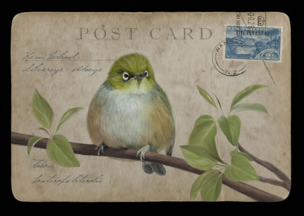 Waxeye Postage