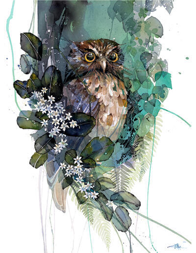 Morepork Putaputaweta