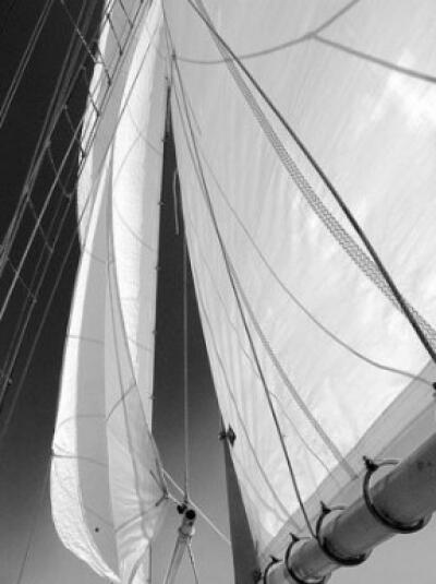 Sailboat Sails